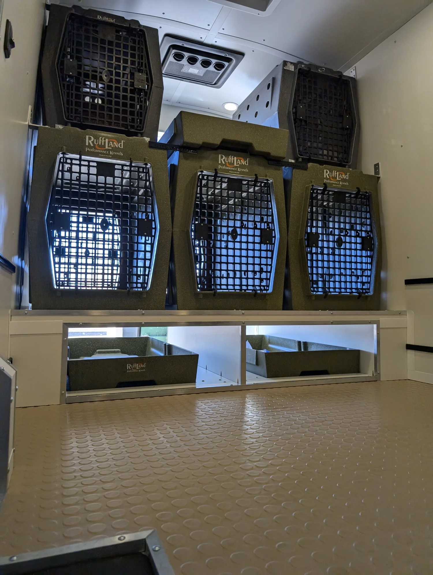 Custom shelving organizes supplies beneath the kennels.